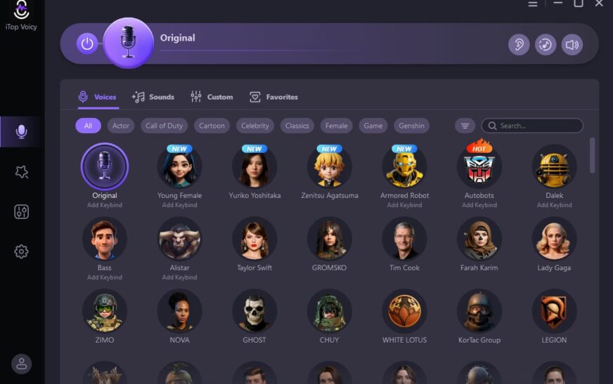 Stimmenverzerrer — Kreative Tools für Gaming, Streaming und Content-Erstellung